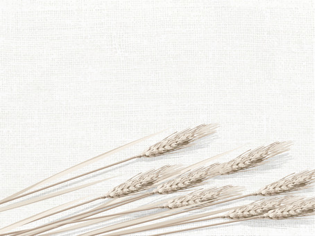 小麦色の麦穂と麻布の背景1　018 麦穂,小麦色,リアル,ナチュラル,お洒落,自然,植物,大人っぽい,枠,背景のイラスト素材