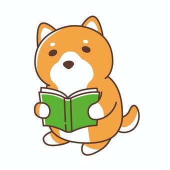 本を読むゆるい柴犬のイラスト 柴犬,犬,動物,生き物,読書,読む,本,勉強,ポーズ,生活のイラスト素材