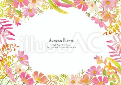 コスモスと紅葉した葉っぱたち005