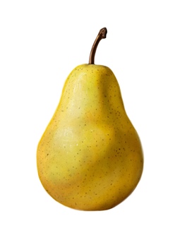 洋梨　イラスト　素材 洋梨,果物,食べ物,アイコン,アート,リアル,イラスト,素材のイラスト素材