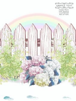 雨後(繡球花盛開的風景)明信片, JPG 和 PNG 雨後(繡球花盛開的風景)明信片, 繡球, 花瓣, 雨季, JPG 和 PNG