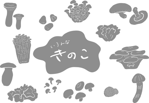 いろんなきのこ＿影モノクロ きのこ,エリンギ,フクロタケ,しめじ,椎茸,えのき,ひらたけ,ポルチーニ,キクラゲ,なめこのイラスト素材