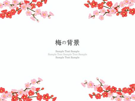 梅の花のフレーム、背景07 梅,花,水彩,手描き,フレーム,背景,梅の花,和,和風,和柄のイラスト素材