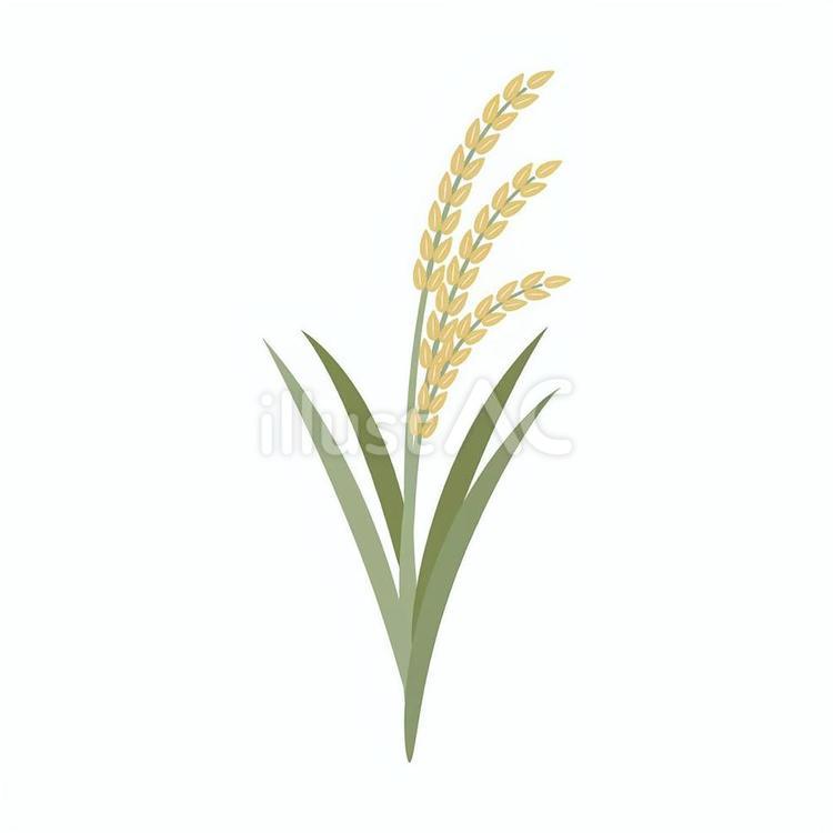 秋の稲穂（葉緑）和風・農業・収穫 稲穂,稲,植物のイラスト素材