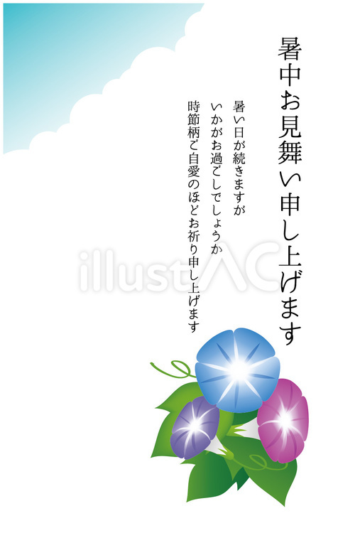 暑中見舞い　朝顔 暑中見舞い,あさがお,はがきのイラスト素材