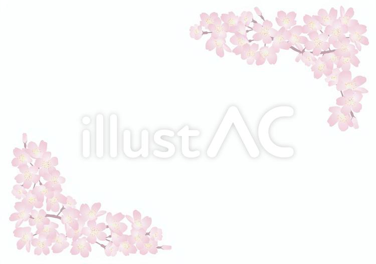 桜フレーム鉤 桜,さくら,サクラのイラスト素材