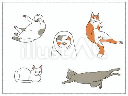 ポージングねこ