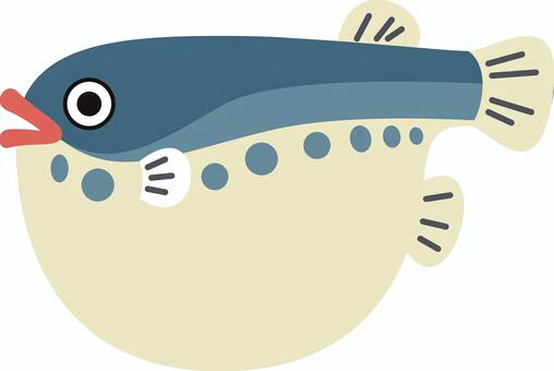 かわいいふぐ ふぐ,河豚,魚,海,生き物,海洋生物,魚類,海水魚,熱帯魚,動物のイラスト素材