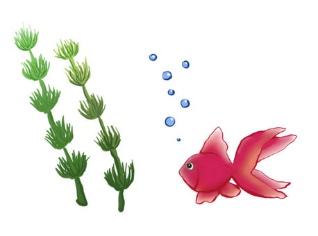 Illustration, goldfish, poisson, une créature, 