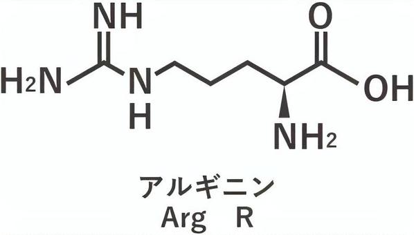 アルギニン アミノ酸,成分,構造式,化学式,栄養素のイラスト素材