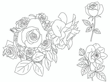 Illustration, rose, flower, line drawing, 