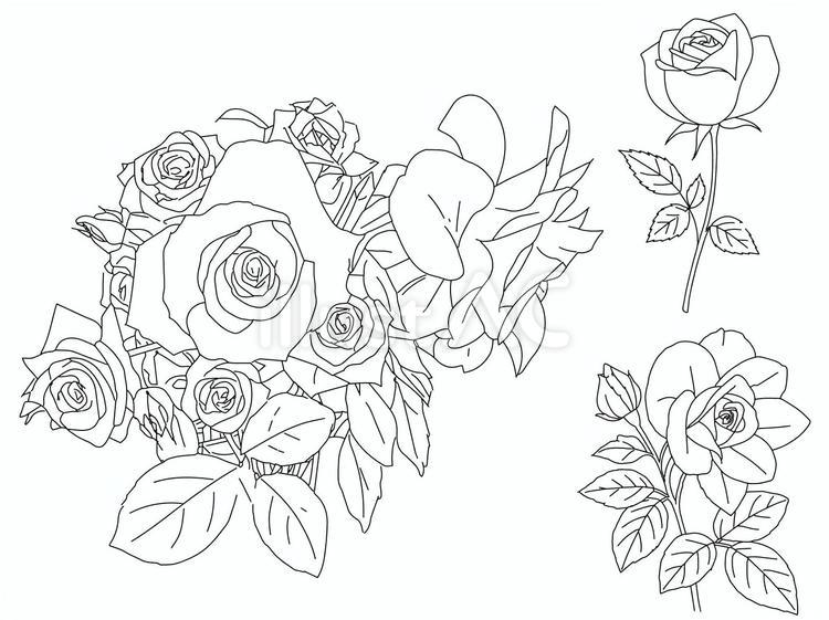 ぬりえ・装飾用に使えるバラの線画セット バラ,薔薇,花のイラスト素材