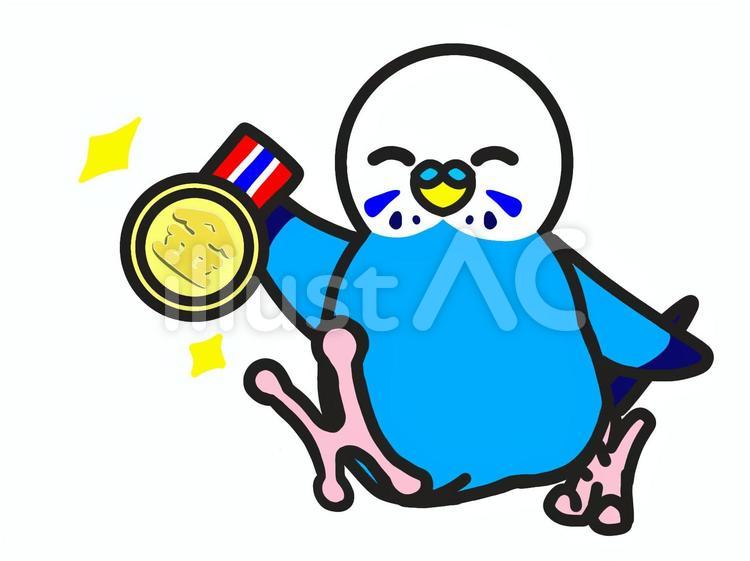 セキセイインコ　金メダル セキセイインコ,鳥,動物のイラスト素材
