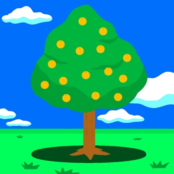 Prairie fruit tree, plant, wood, fruit trees, JPG and PNG