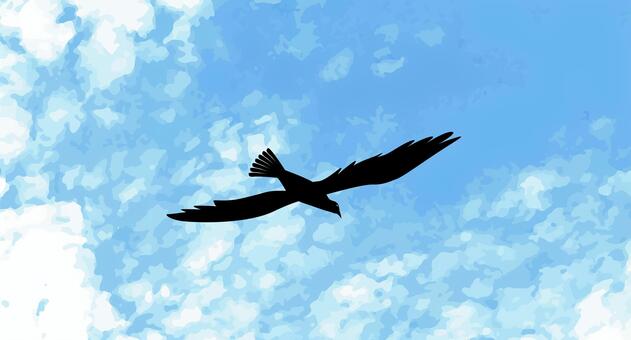 鳥飛ぶ　滑空　 鳥,飛ぶ,滑空,翼,広げる,動物,空,雲,シルエットのイラスト素材