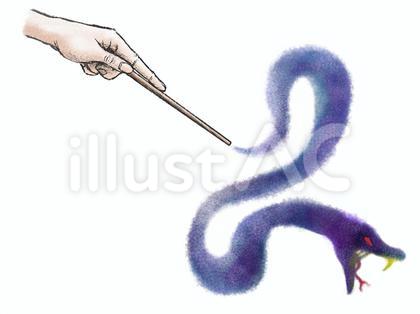 魔法 毒蛇