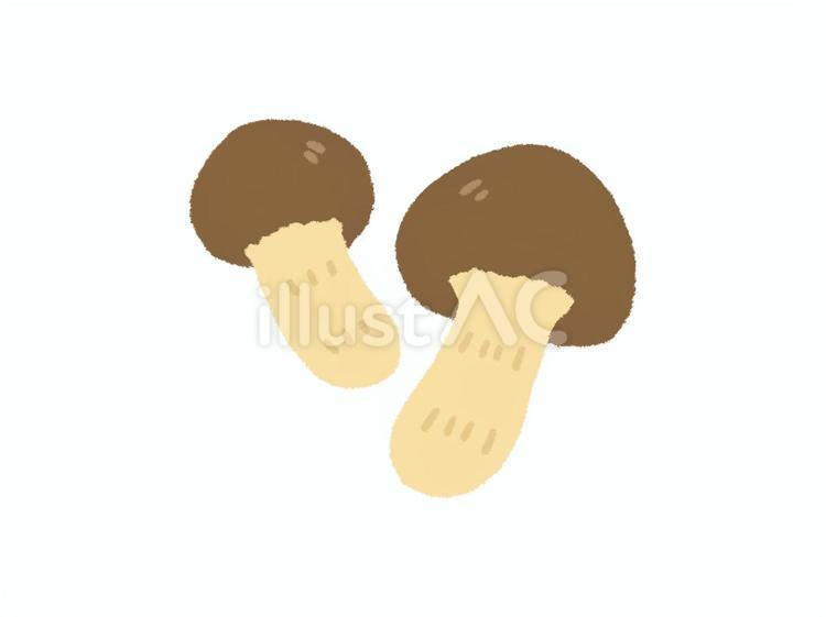 2個の松茸 松茸,秋,きのこのイラスト素材