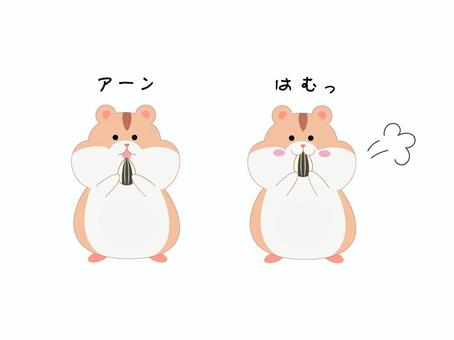 ハムスターのイラスト ハムスター,動物,可愛い,デザイン,挿絵,小さい,ウェブ,癒し,ペット,家族のイラスト素材
