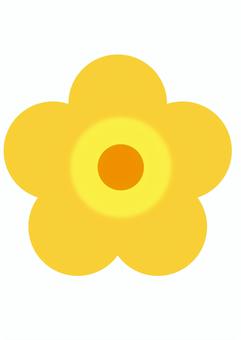 黄色い花①