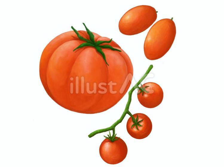 トマト（背景透明） トマト,野菜,赤のイラスト素材