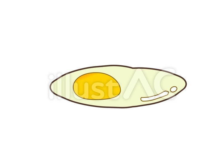 目玉焼き 目玉焼き,卵,たまごのイラスト素材