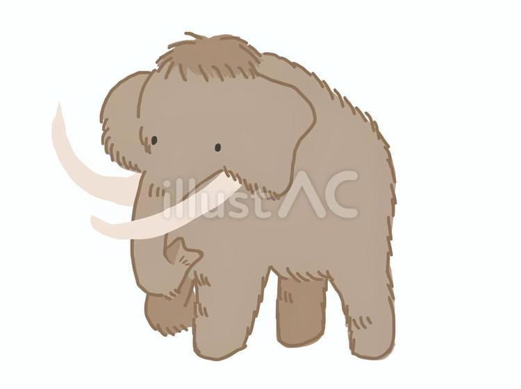 ナウマンゾウ ナウマンゾウ,動物,生き物のイラスト素材