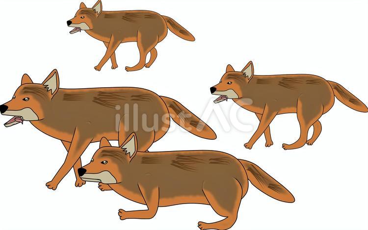 Free Vectors | Wolf pack
