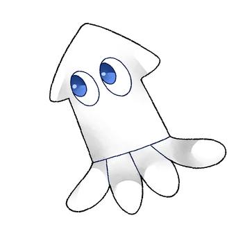 squid, JPG and PNG squid, squid, sea, creatures, JPG and PNG
