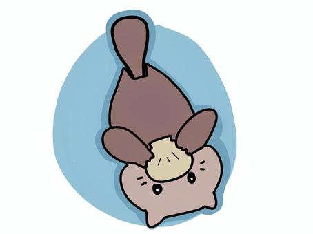 かわいいラッコ ラッコ,かわいい,手描きのイラスト素材