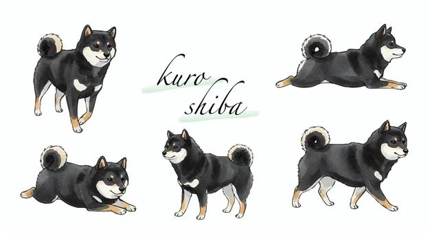 黒柴のイラスト 柴犬,黒柴,黒,ペット,かわいい,愛犬,まとめ,動物,歩く,伏せのイラスト素材