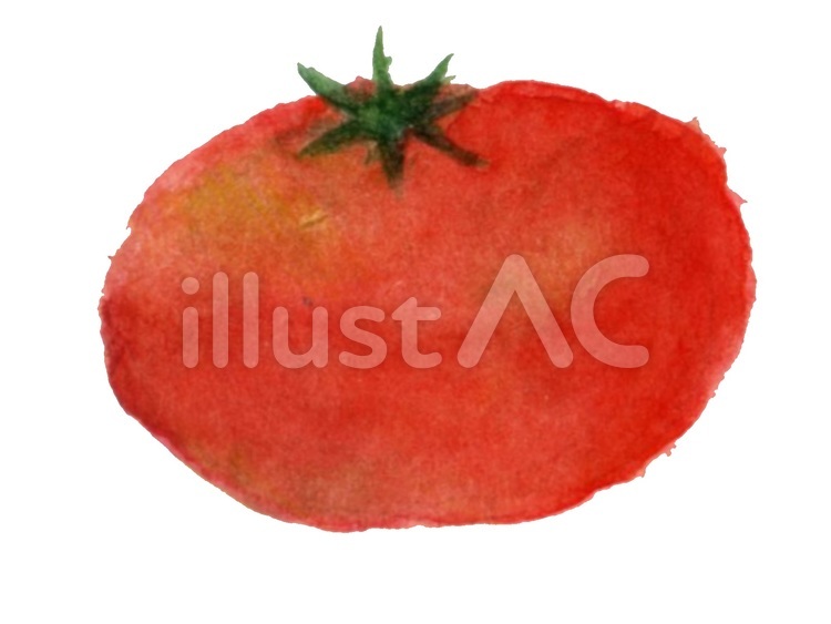 とまと 夏の野菜,あかい,さしえのイラスト素材