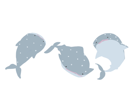 ジンベエザメ ジンベエザメ,サメ,動物,生き物,魚,三匹,三兄弟,イラスト,手描き,かわいいのイラスト素材