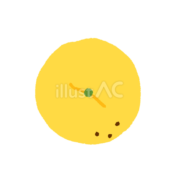 手描きの上から見た葉なしゆず 柚子,ゆず,冬至のイラスト素材