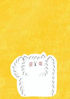 ふわふわねこちゃん かわいい,ねこ,どうぶつ,いきもの,ペット,ふわふわ,もこもこ,白,白い,黄色のイラスト素材