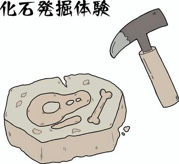 化石発掘体験　文字入り 化石,発掘,恐竜,骨,たがね,地面,地層,石,作業,体験のイラスト素材