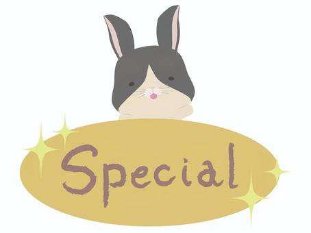 special_兎 スペシャル,うさぎ,ダッチ,動物,かわいい,文字のイラスト素材