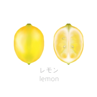 檸檬　断面 レモン,フルーツ,断面,全体,黄色のイラスト素材