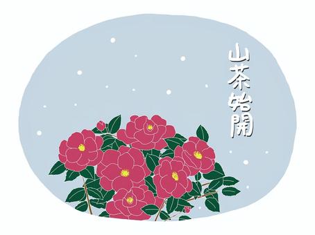 山茶始開　つばきはじめてひらく 七十二候,立冬,山茶花,雪,旧暦のイラスト素材