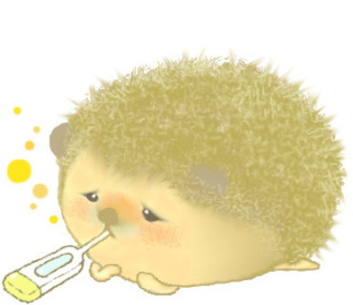 hedgehog, hedgehog, animal, cold, JPG and PNG