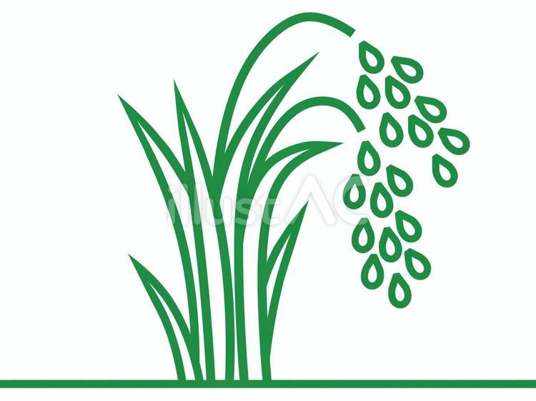 田圃に生える稲の線画イラスト（緑） 米,植物,作物のイラスト素材