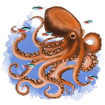 Illustration, octopus, tropical fish, neon tetra, 