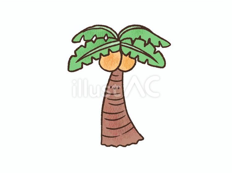 ヤシの木 ヤシの木,ヤシ,ココナッツのイラスト素材
