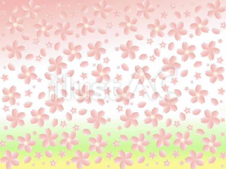 桜 春色,カワイイ,桜の花のイラスト素材