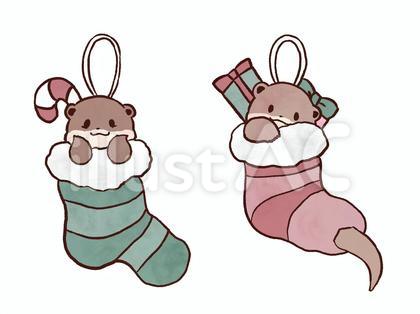 クリスマスの靴下に入ったカワウソ