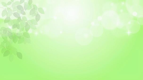 キラキラ光る新緑イメージ背景 1 背景,新緑,キラキラ,光,春,初夏,高原,緑,葉,葉っぱのイラスト素材