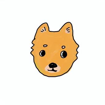 犬 犬,ペット,散歩,動物,柴犬のイラスト素材