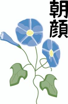 朝顔 朝顔,花,咲く,きれい,夏,植物,葉,漢字,イメージ,青のイラスト素材