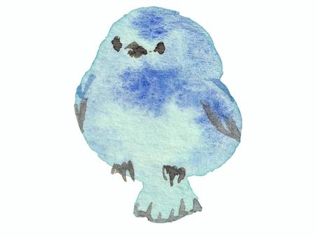 【水彩】青い鳥2 鳥,小鳥,青い鳥,鳥類,ブルーバード,幸せ,幸福,動物,キャラクター,水彩のイラスト素材