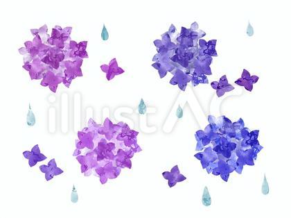 水彩タッチのアジサイのイラストセット