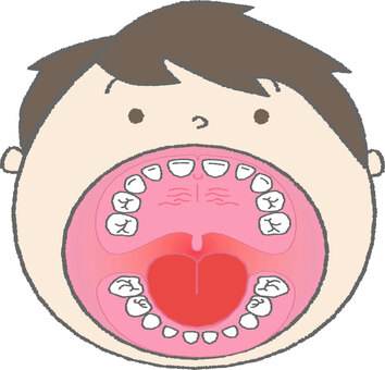口を開けた男の子_乳歯 歯,歯科,男の子,乳歯,乳歯列,上顎,下顎,口,舌のイラスト素材